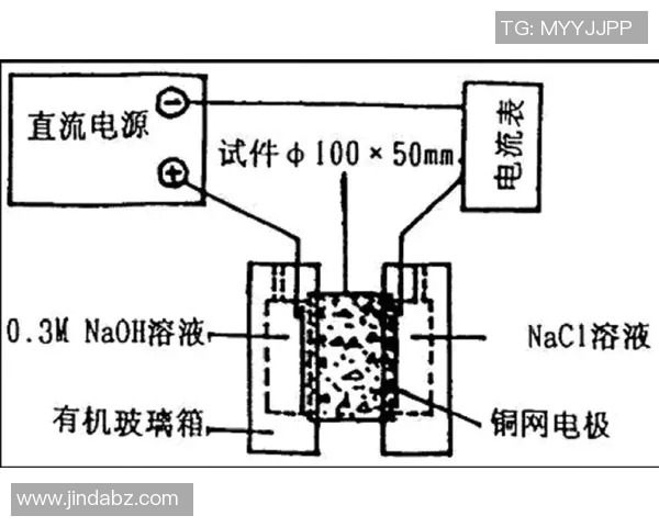 广州乒乓球队边路渗透战术分析及其对比赛结果的影响探讨