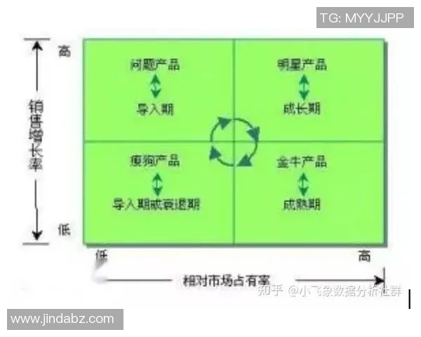 杭州羽毛球队在杯赛中的团队协作表现分析与启示